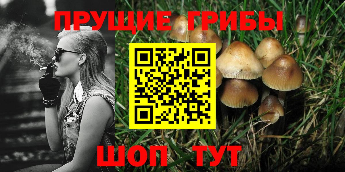Галлюциногенные грибы прущие грибы Псков