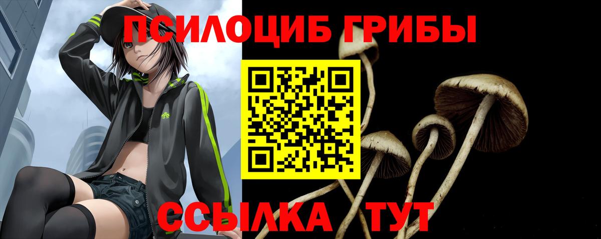 Псилоцибиновые грибы Psilocybine cubensis  Галлюциногенные грибы Cubensis  Вход с VPN  Псков 